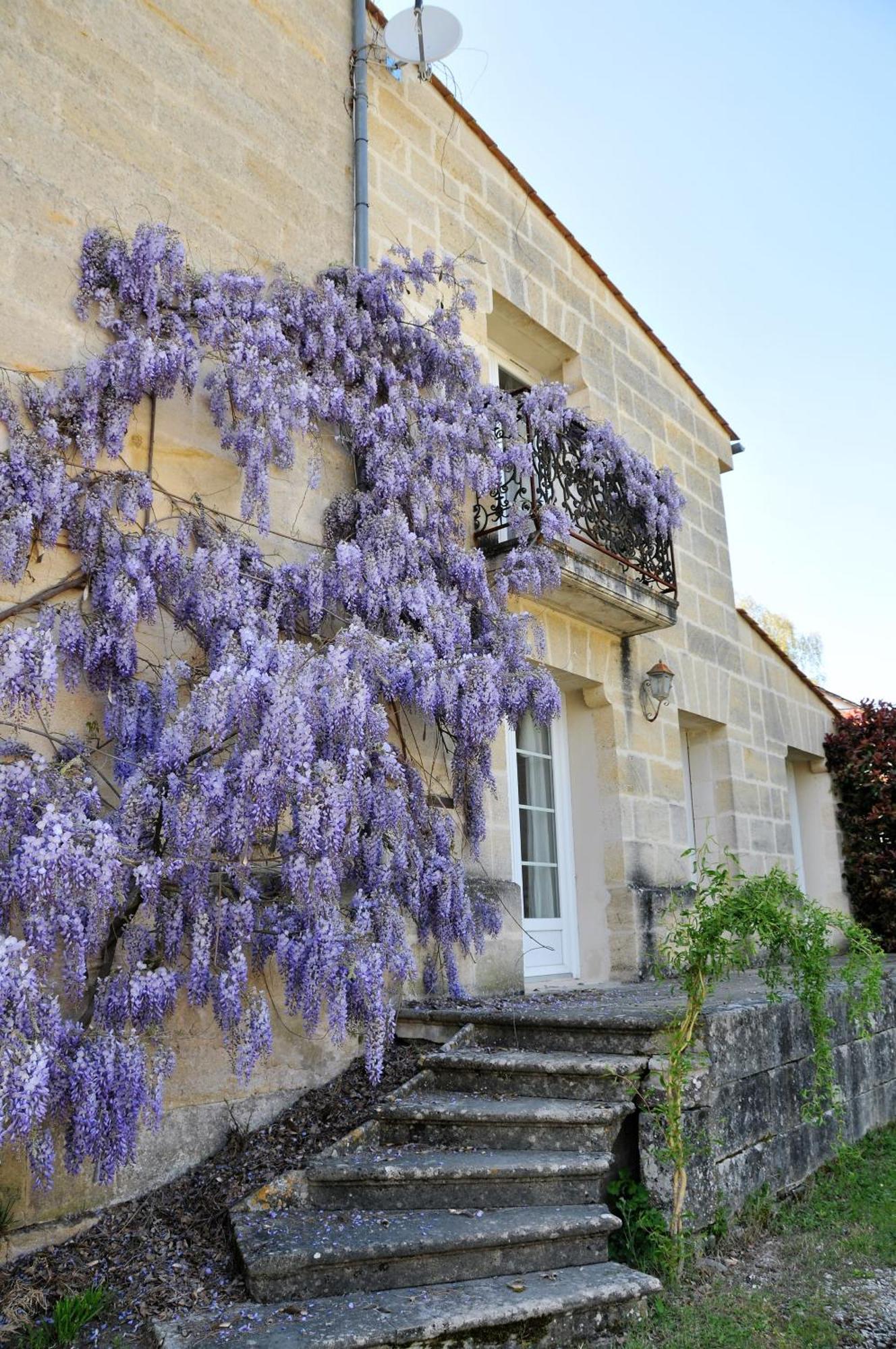 Buisson Gite Et Chambre D'Hote Laruscade Eksteriør bilde